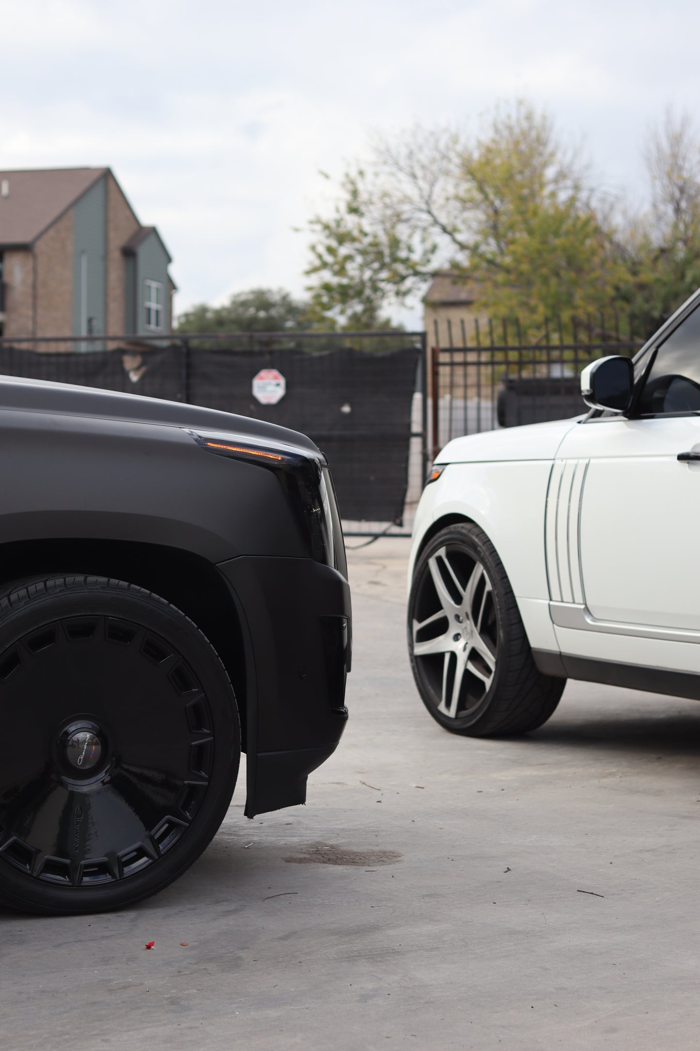 Paint Protection Film