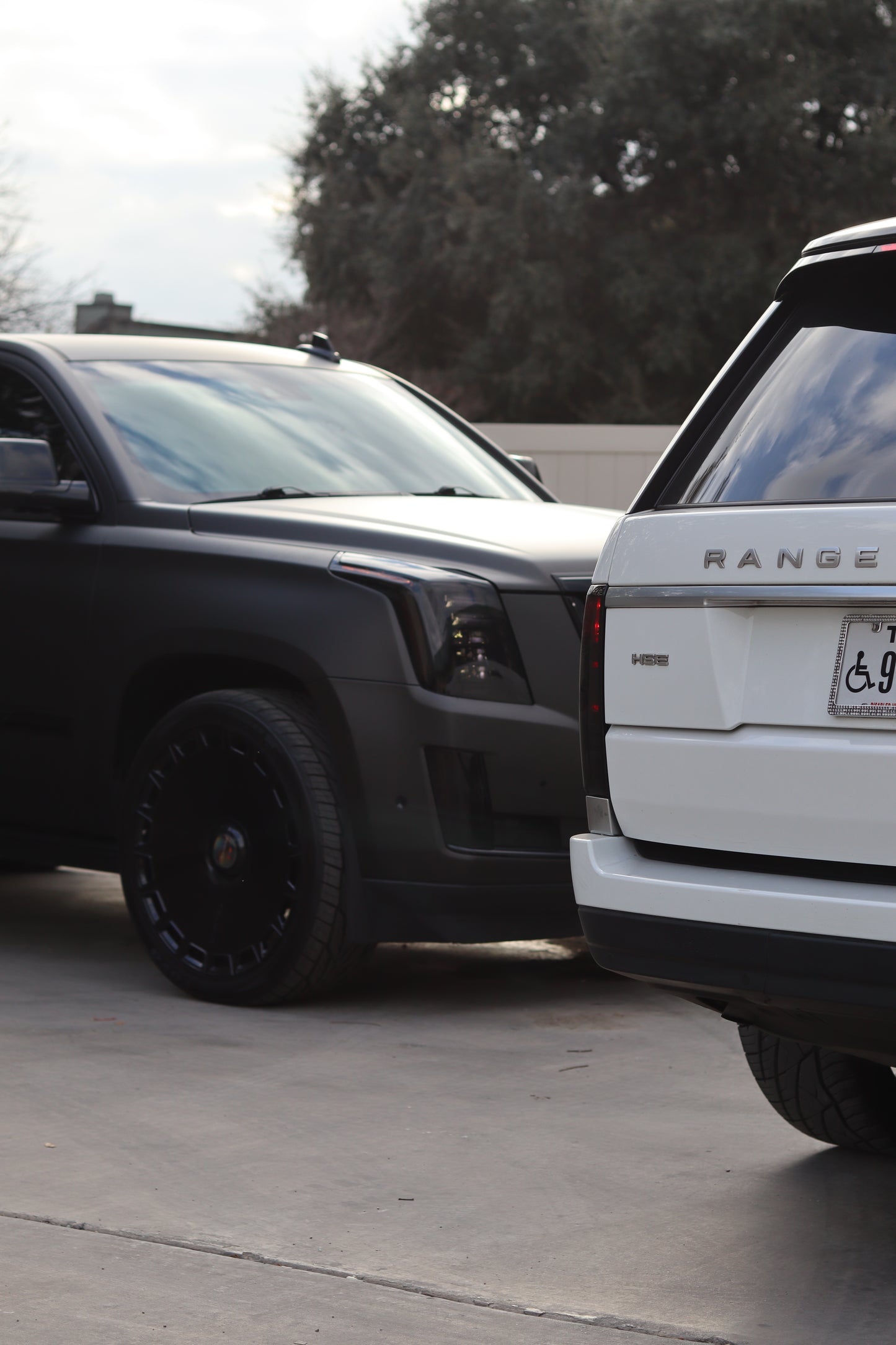 Paint Protection Film